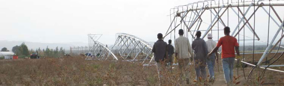 Tamar farm irrigation project